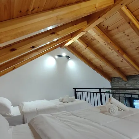 Gogo Moustache Guest house