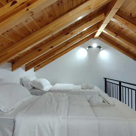 Gogo Moustache Guest house *