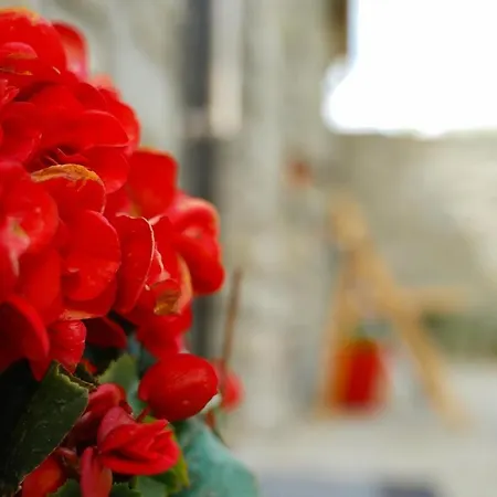 Gogo Moustache Përmet