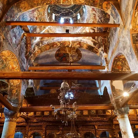 بيت ضيافة Gogo Moustache