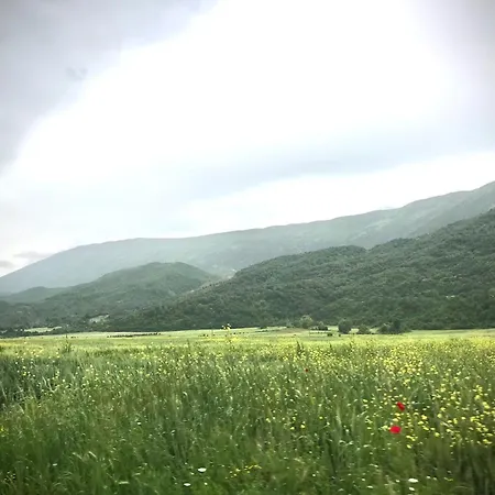 Gogo Moustache بيت ضيافة Përmet