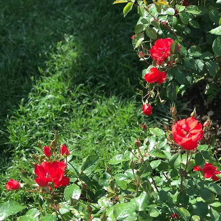 Gogo Moustache بيت ضيافة