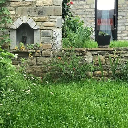 بيت ضيافة Gogo Moustache