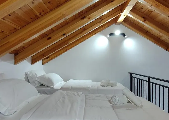 Gogo Moustache 招待所 3*