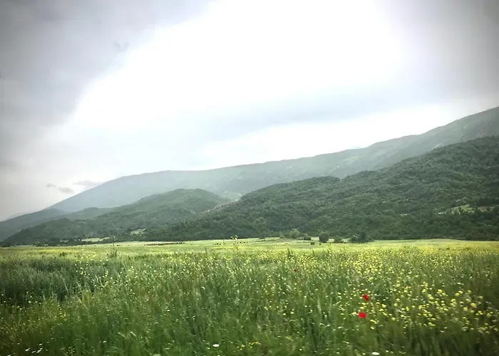 Gogo Moustache Pensjonat Përmet