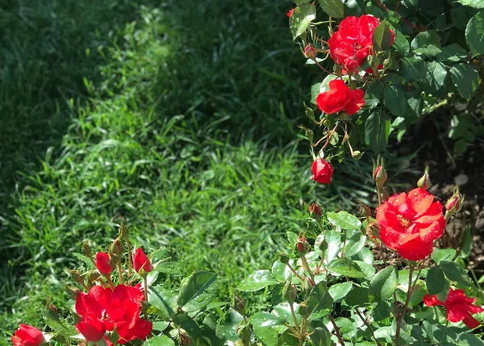 Gogo Moustache Pensjonat