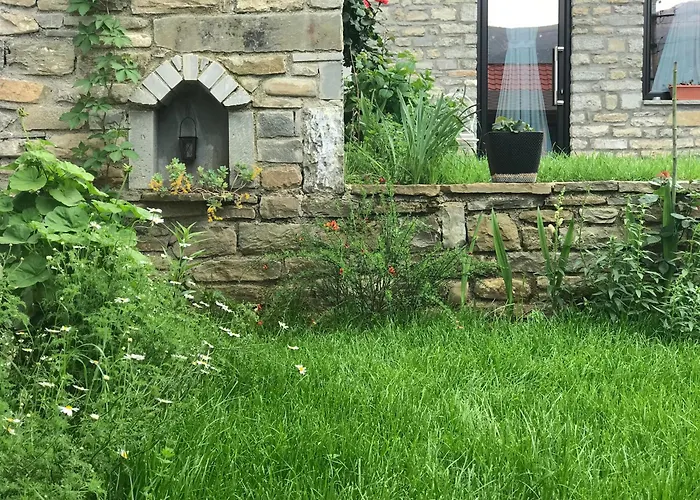 Pensjonat Gogo Moustache